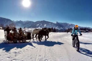 winterradfahrer-sklittenpferde