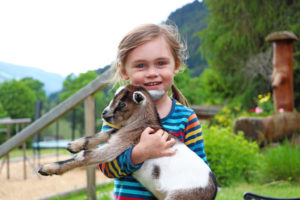 zeiserhof-maedchen-mit-ziegenbaby